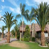 Photos by MARIO'S TREE SERVICES #1