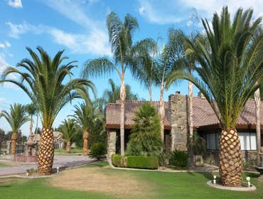 Photos by MARIO'S TREE SERVICES #1