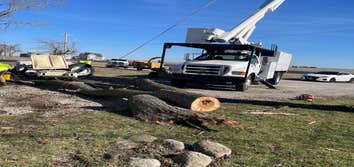 Clean Green Tree Service