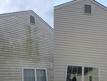 Before and After