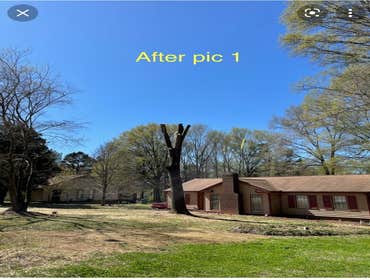 After Tree Trim