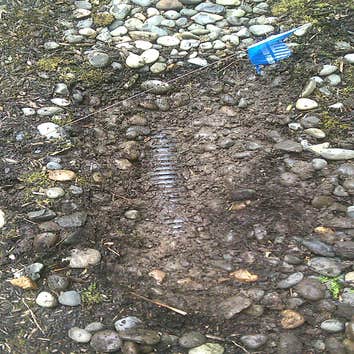 Portland Drainage System We solved a drainage issue caused by a previous contractor's poor installation.