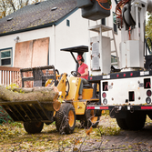 Photos by Santana Tree Service LLC #2