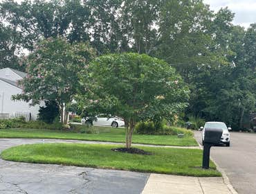 Photos by American Pride Tree Experts & Landscaping Inc #45