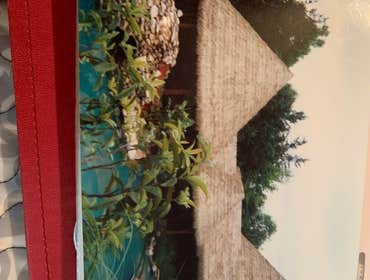 special straw roof applied