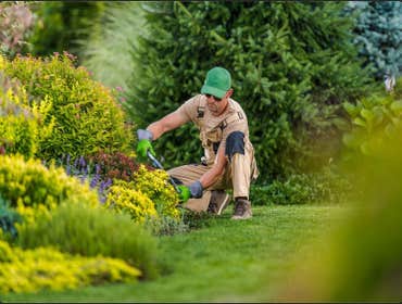 Photos by Brothers Landscaping LLC #1