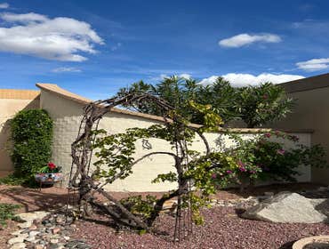 Photos by Zona Paints LLC #1