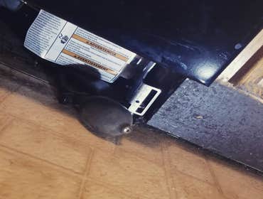 Photos from Ifixit Handyman Services