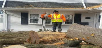 L.A. Tree Service Creative Corp