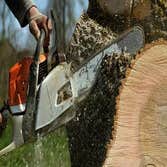 Hawks Tree Services LLC