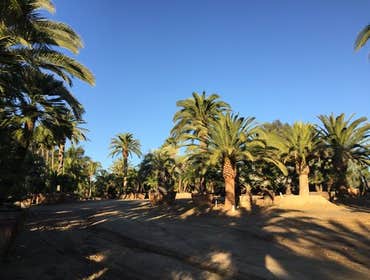 Photos by Palmeras Landscape Services Inc #1