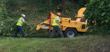Bloomington Tree Care