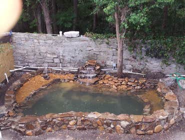 Koi Pond