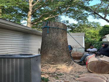 Photos by Beauty Meister Landscaping LLC #2