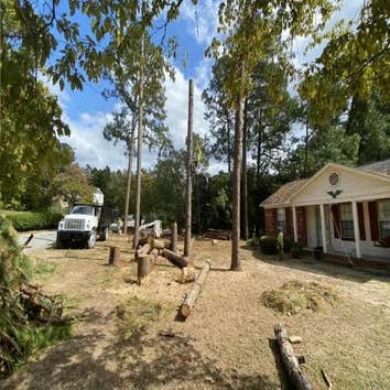 Photos by Tarhill Tree Service #1