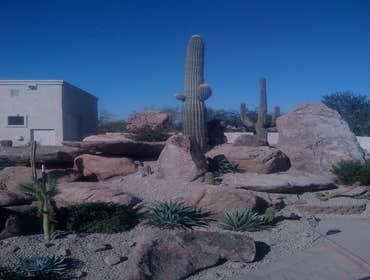 Photos from Mountainscapers Landscaping
