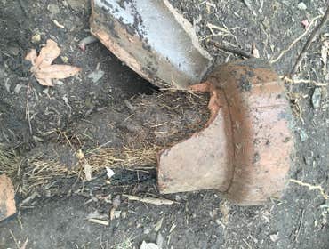 6" clay pipe filled w/roots
