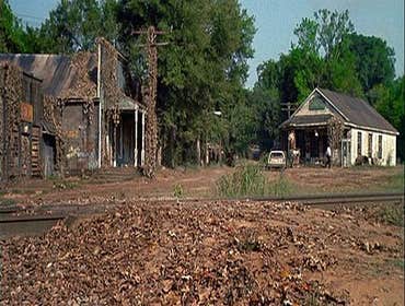 Fried Green Tomatoes Set