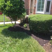 Photos by Orellana Lawn & Tree Services #4