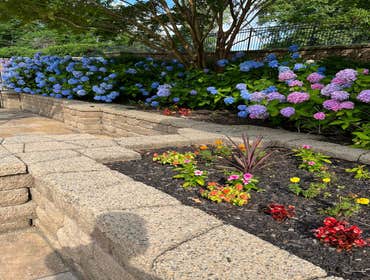 Photos by Mendoza Landscaping & Lawn Service LLC #7