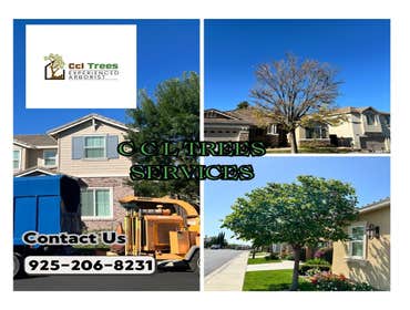 Photos by Ccl Trees Services #1