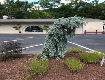 Jaden's II in Monroeville, PA Full design/installation front and back of building with patio.