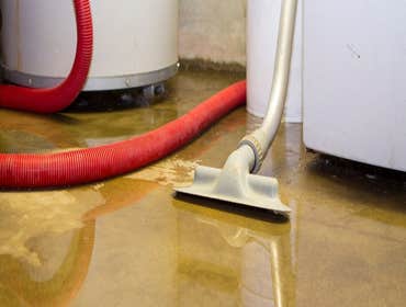 Photos by Water Damage Restoration Company Near Me #1