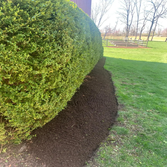 Gonzalez Landscaping Experts LLC