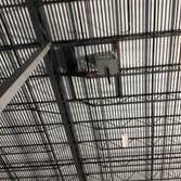 Photos by Hector Moreno Heating and Cooling LLC #3
