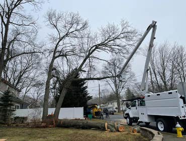 Photos by American Pride Tree Experts & Landscaping Inc #17