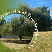 Professional Tree Service Usa