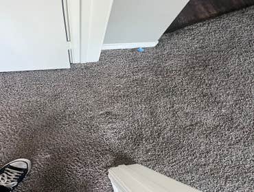 Photos by Instant Flooring #1