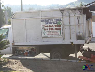 Photos by Estates Tree Service #1