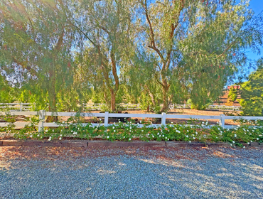 Photos by Mullaney Landscape #1