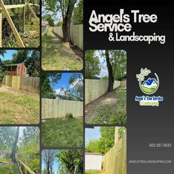 Photos by Angel's Tree Service & Landscaping #1