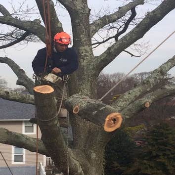 J Tree Service LLC