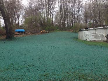 Photo(s) from Chris Scott Landscaping