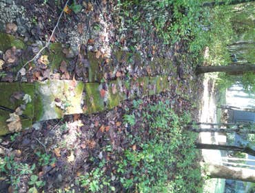 Old path through woods