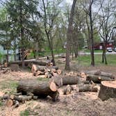the Regions Tree Service