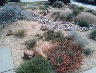 Photos from Xeriphytic Landscape Design Solutions Inc