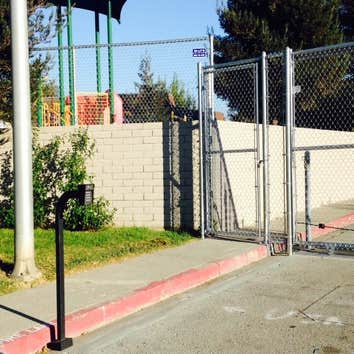 Chain Link