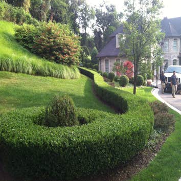Works by LCS LANDSCAPES