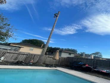 Photos by Contreras Tree Services #19