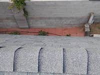 Photos by Expanse Roofing #3
