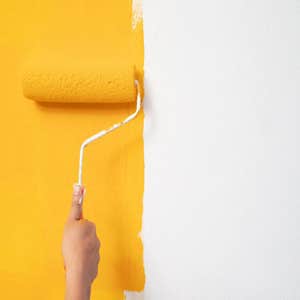 Photos by Dolphin Painting #1