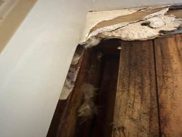 Water Mitigation This project was a roof leak the photos show initial inspection to post demo.