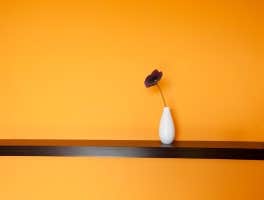 Benchmark Painting & Carpentry DC house painting, Interior Painting,Exterior Painting,Office & Foyer Painting,Faux Finishes, Color & Design Consultati