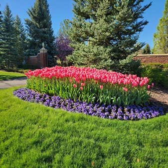 Linden Landscape Services
