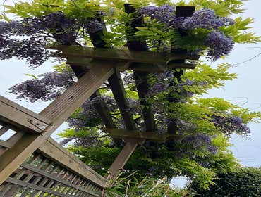 Photos by Landscaping & Gardening Services #13
