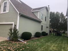Photos by Painting Professional Work LLC #1